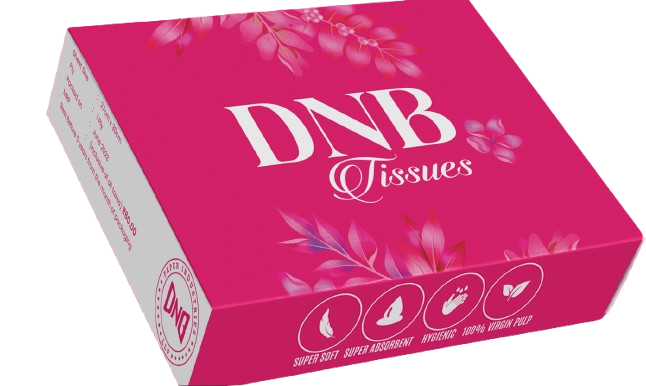 Screenshot_2026-02-12_104947-removebg-preview