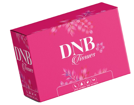 Screenshot_2026-02-12_105011-removebg-preview